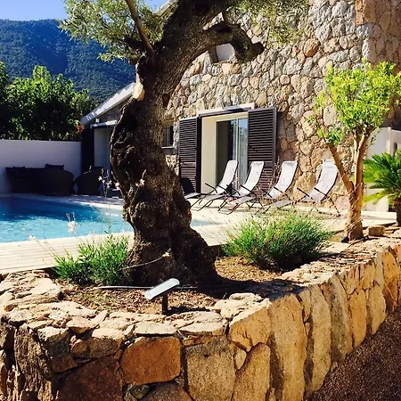 Casa Renajolu Πόρτο Βέκιο